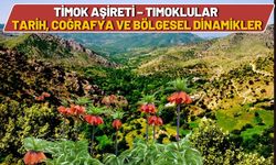 Timok Aşireti – Timoklular Tarih, Coğrafya ve Bölgesel Dinamikler