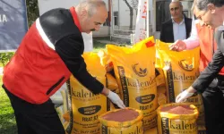 Vali Canalp, Topraksız Tarım Tesisinde İncelemelerde Bulundu