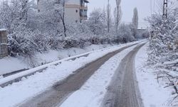 Van’da kar yağışı kenti beyaz örtüyle kapladı