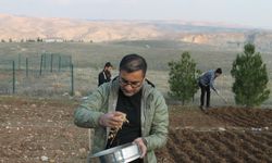 Aspir Kuraklığa Umut Olacak