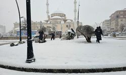 Batman Belediyesi’nden Ağaçlara Don Kalkanı