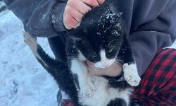 İtfaiyeden Can Dostlara Hayat Kurtaran Müdahale