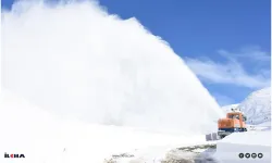 Li Bedlîs, Wan, Colemêrg û Mûşê, rêya 1644 gundan hatîye girtin