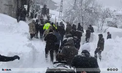 ina ku li Wanê ji bin aşîtê hatibû rizgarkirin canê xwe ji dest da