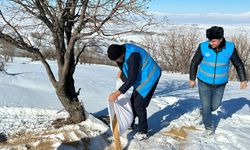 Batman Belediyesi’nden Yaban Hayatına Şefkat Eli