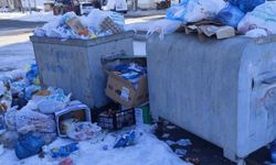 Batman'da biriken çöpler tepki çekiyor