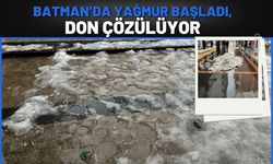 Batman’da Yağmur Başladı, Don Çözülüyor