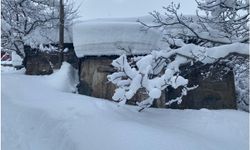 Bitlis’te evler kara gömüldü