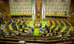 Gine'de hükümet istifa etti