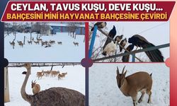 Ceylan, Tavus Kuşu, Deve Kuşu…! Bahçesini Mini Hayvanat Bahçesine Çevirdi