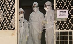 Hindistan'da yarasa kaynaklı Nipah virüsü salgını meydana geldi