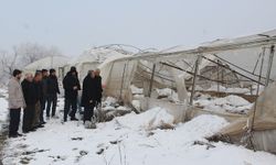 HÜDA PAR İl Başkanı Şahin: Seralarda büyük hasar var, çiftçi destek bekliyor