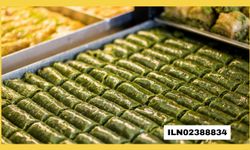 BATMAN AÇIK CEZA İNFAZ KURUMU GIDA ÜRÜNLERİ SATIN ALACAK