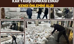 Kar Yağışı Sonrası Esnaf Kendi Önlemini Aldı