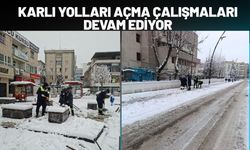 Karlı Yolları Açma Çalışmaları Devam Ediyor