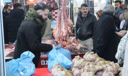 Kış Sakatatçılara Yaradı