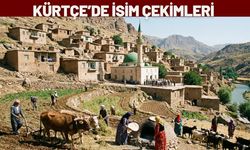 Kürtçe’de İsim Çekimleri