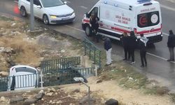 Şanlıurfa'da otomobil kanala düştü