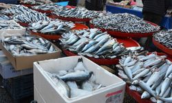 Soğuk hava balık tezgahlarına da vurdu