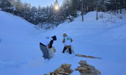 Soğuk havada sessiz canlara vefa