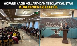 AK Parti Batman Kadın Kolları’ndan Teşkilat Çalıştayı: Köklerden Geleceğe