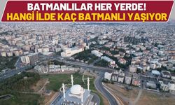 Batmanlılar Her Yerde! Hangi İlde Kaç Batmanlı Yaşıyor