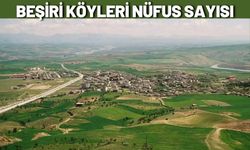 Beşiri Köyleri Nüfus Sayısı