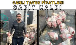 Canlı Tavuk Fiyatları Sabit Kaldı