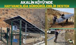 Akalin Köyü’nde Hayvancılığa Sürdürülebilir Destek