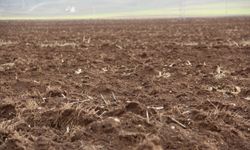 Hunharca tükettiğimiz hayat kaynağı toprağı korumak zorundayız