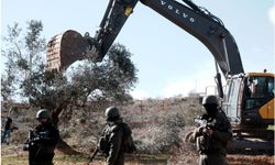 İşgal Güçleri, Batı Şeria’da Filistinlilere Ait Zeytin Ağaçlarını Söküyor