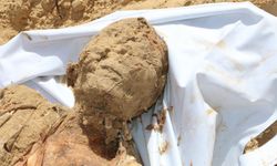 Siyonist rejim 'en büyük deri bankası bizde' dedi: Bu deriler nereden geldi?