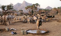 Sudan'da savaş derinleşiyor: El-Ubeyd kuşatma altında, göçerler hayata tutunamıyor