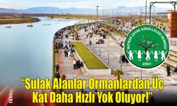 "Sulak Alanlar Ormanlardan Üç Kat Daha Hızlı Yok Oluyor!"