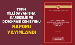 TBMM Milli Dayanışma, Kardeşlik ve Demokrasi Komisyonu Raporu Yayımlandı