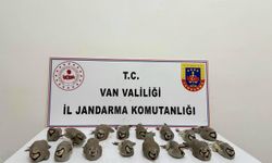 Van'da kınalı keklik avcılarına 246 bin TL ceza