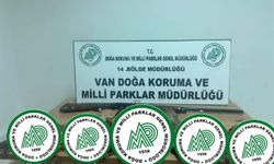 Van'da yasa dışı avlanan kişiye 87 bin TL ceza uygulandı