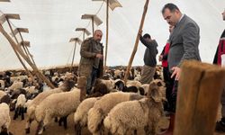 Göçer Çalıştayı Öncesi İl Tarım ve Orman Müdürlüğü Sahaya İndi