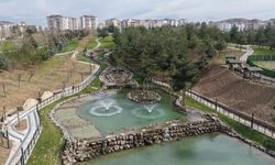 Yaşar Kemal Kent Ormanı’nda Bakım ve Peyzaj Çalışmaları