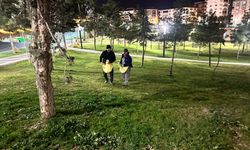 224 Parkta Gübreleme Çalışması Devam Ediyor