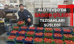 Alo Tevşo’da Sason Çileği Tezgahları Süsledi