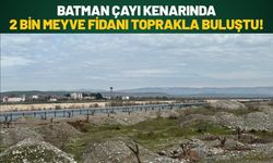 Batman Çayı Kenarında 2 Bin Meyve Fidanı Toprakla Buluştu!