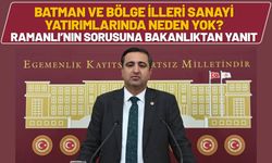 Batman ve Bölge İlleri Sanayi Yatırımlarında Neden Yok? Ramanlı’nın Sorusuna Bakanlıktan Yanıt