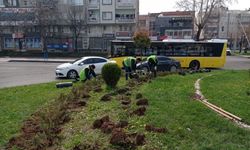 Batman’da Bahar Dönemi Peyzaj Çalışmaları Başladı