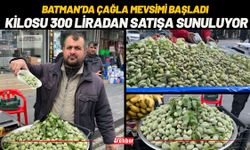 Batman’da Çağla Mevsimi Başladı: Kilosu 300 Liradan Satışa Sunuluyor