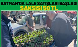 Batman’da Lale Satışları Başladı: Saksısı 50 TL