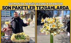 Batman’da Nergis Sezonu Kapanıyor: Son Paketler Tezgahlarda