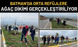 Batman’da Orta Refüjlerde Ağaçlandırma Çalışması Başlatıldı