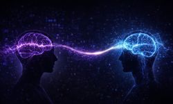 Beyin navigasyon gibi çalışıyor