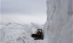 Bitlis'e bu sezon yağan kar miktarı 8 metreyi buldu